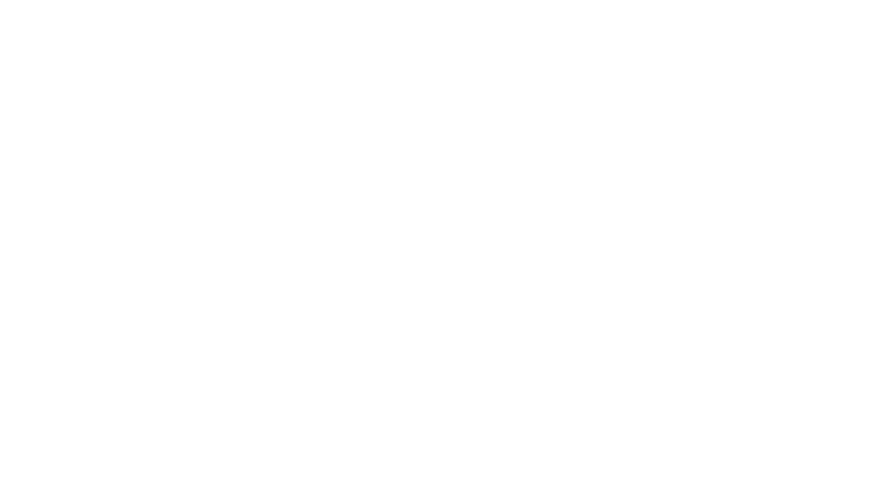 Noiz Group